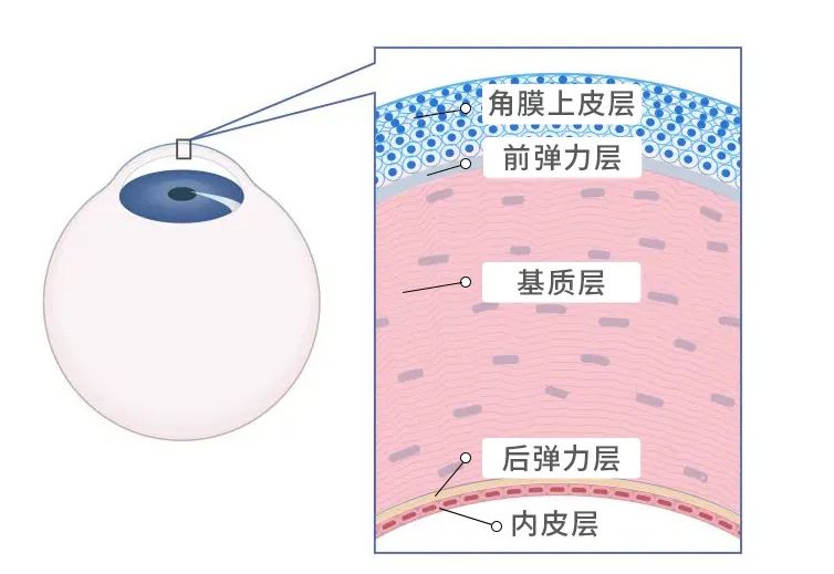 微信图片_20230313164631.jpg 图片